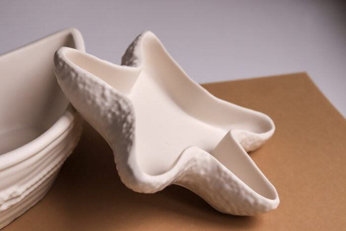 Posudica Morska zvijezda