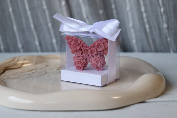 Mini Leptir u kutijici